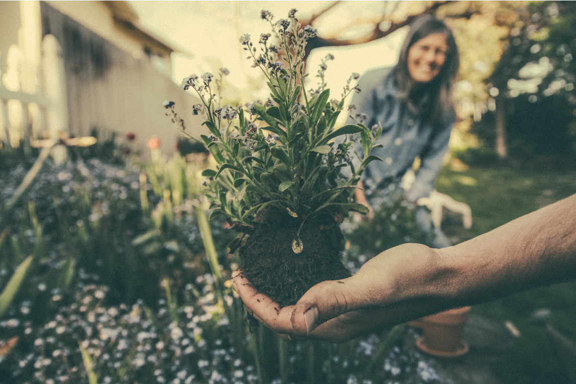 UK-home-improve-how-to-improve-a-new-garden