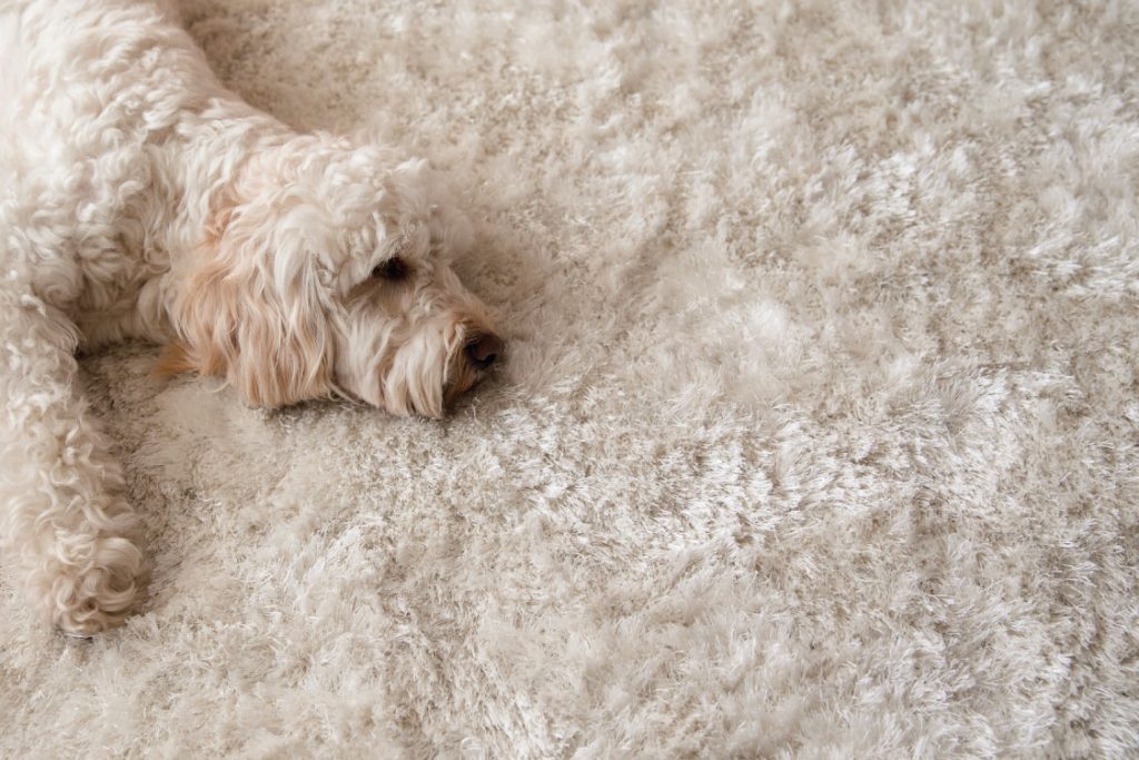 uk-home-improvement-Shaggy-Rugs-are-Back-in-Style